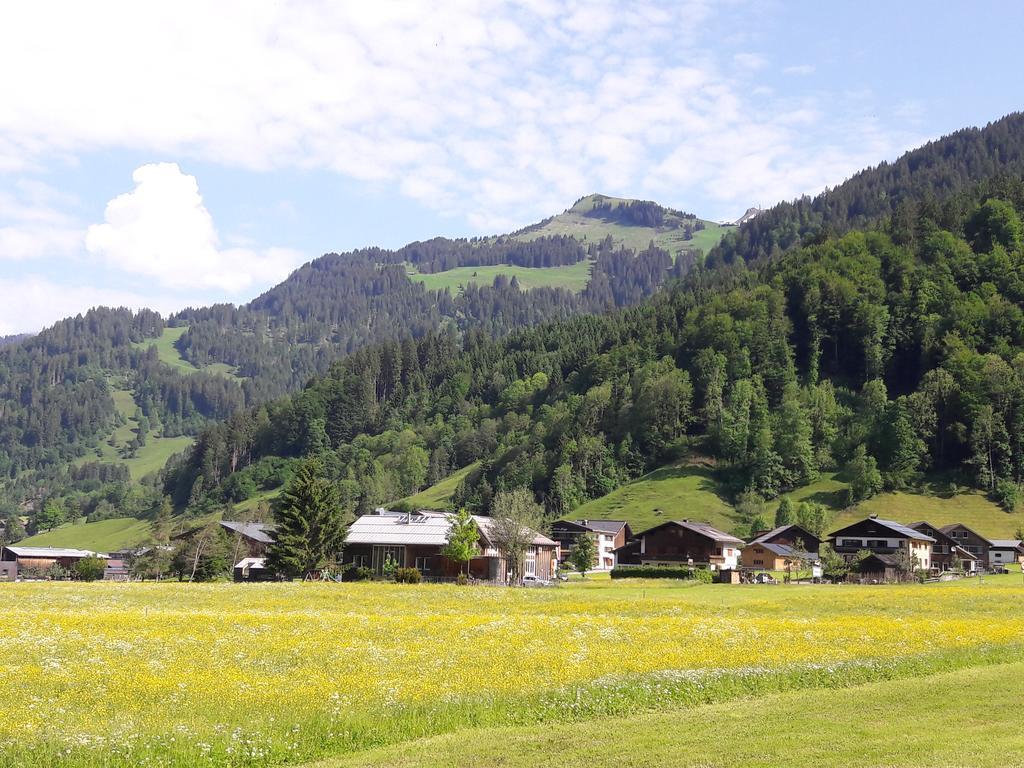 Haus Diedams Schoppernau Extérieur photo